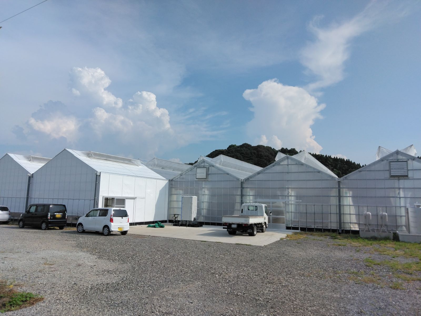 【塩田町】新着!!　きゅうりハウスで収穫のお手伝い♪（10/3 8:00～12:00)
