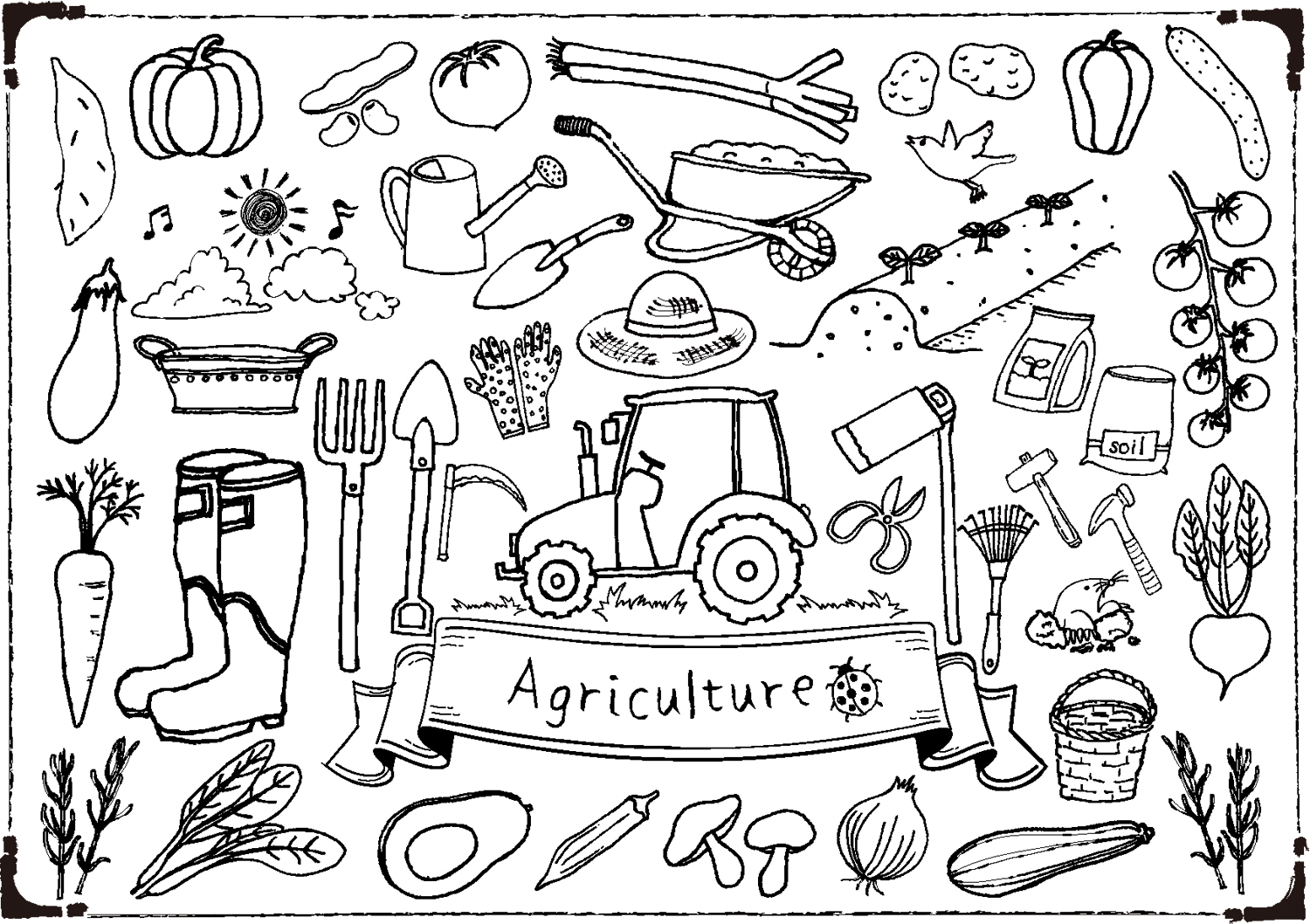 ★農業★かつお菜の袋詰め作業♪(12/26 8:00～15:00のうち3時間～)