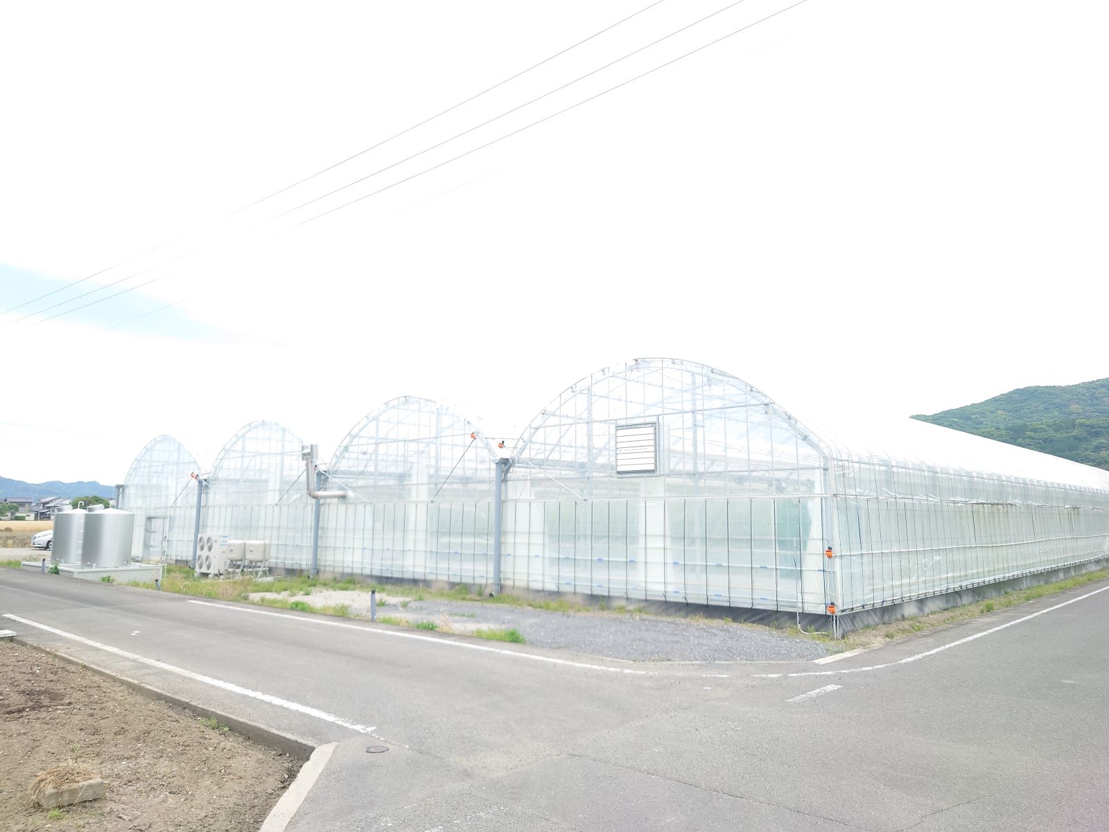 【新着求人!!】きゅうりハウスでの収穫作業♪（7/27 8:00～17:00 うち4時間程度)
